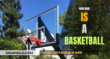 Basketball Rim Heights: Standardized Heights for Competitive Sports