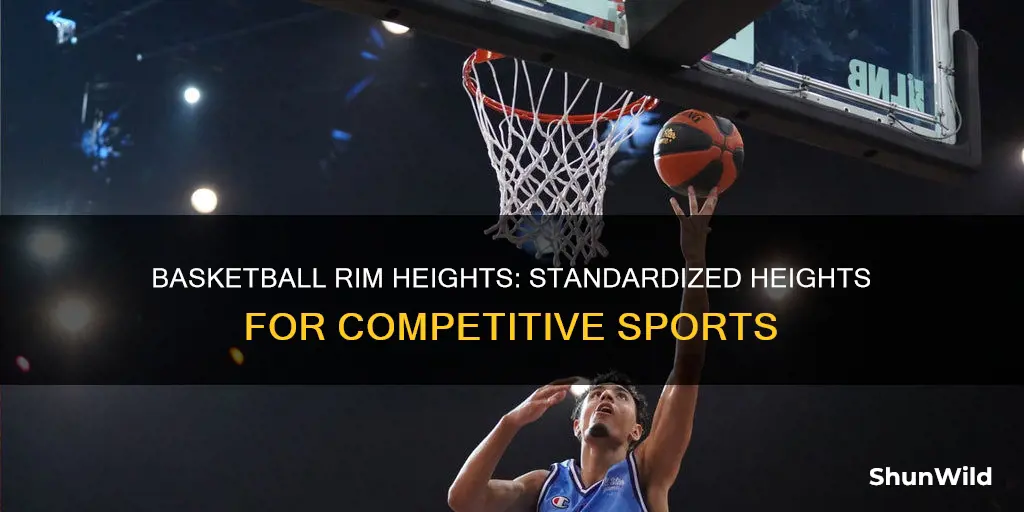 how high is a basketball