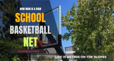 Basketball 101: Understanding the Standard Hoop Height