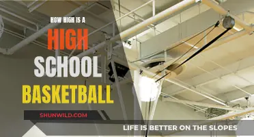 Basketball Hoops: Standard Heights for High Schoolers
