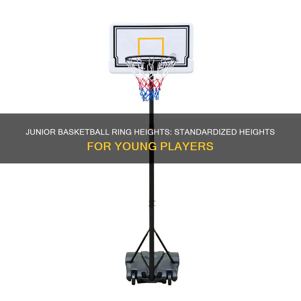 how high is a junior basketball ring