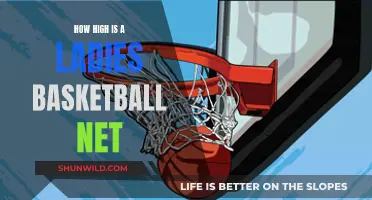 Basketball Net Heights: Ladies' Game Rules and Regulations