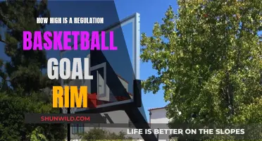 Basketball Rim Heights: Standardizing the Game Globally