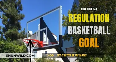 The Universal Height of Basketball Hoops