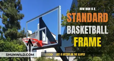 Basketball Standardization: Frame Height for Optimal Gameplay