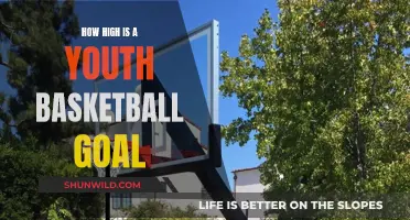 Basketball Goals for Youth: Height Recommendations and Benefits