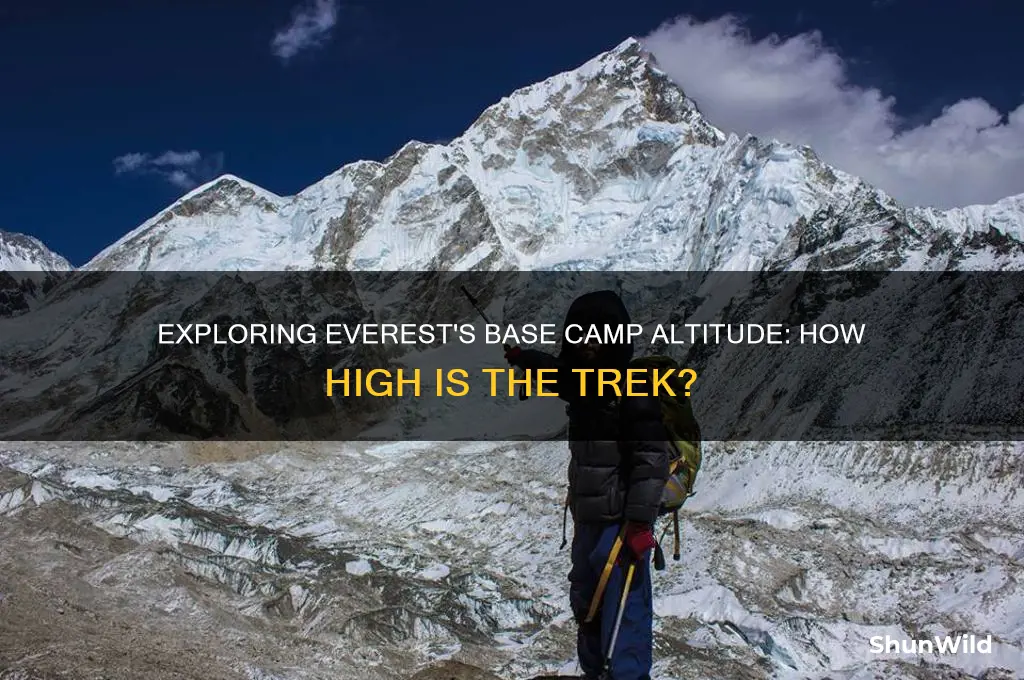 how high is base camp