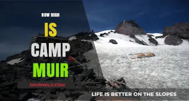 Camp Muir's Altitude: A Climber's Guide to Mount Rainier's High Camp