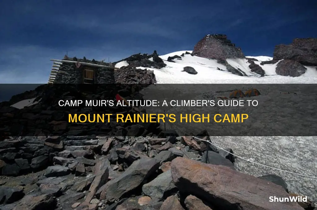 how high is camp muir
