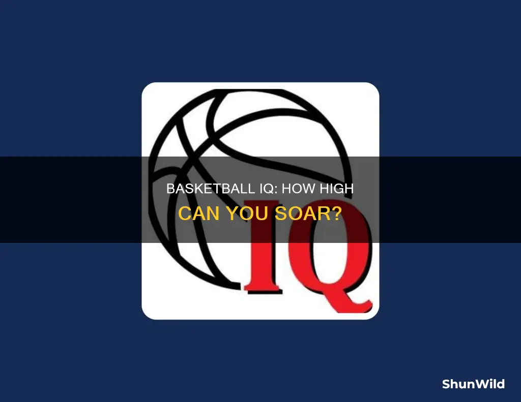 how high is my basketball iq