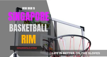 Singapore's Basketball Rim Heights: How High Are They?