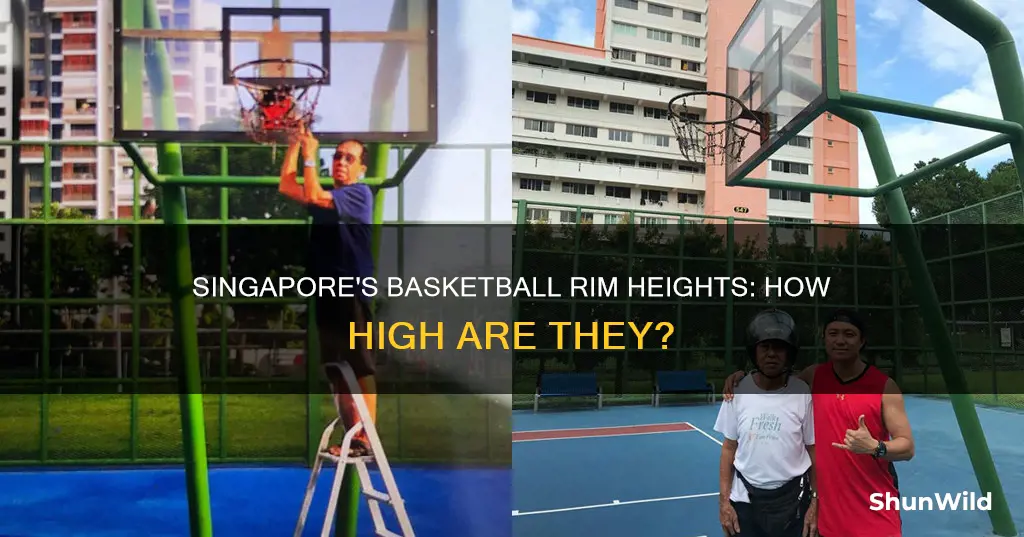 how high is singapore basketball rim