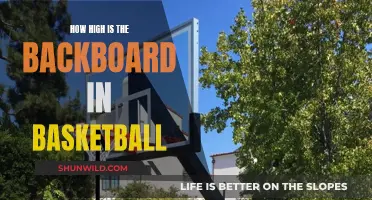 The Optimal Height for Basketball Backboards Revealed