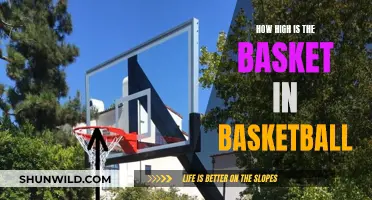 The Height of Basketball Hoops: Standard Measurements and Variations