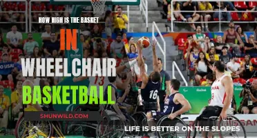 The Height of Wheelchair Basketball Goals and Rims