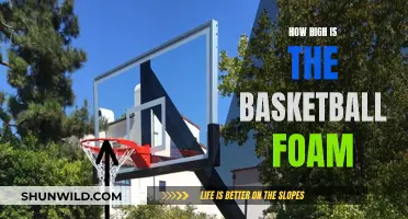 The Optimal Height of Basketball Hoops for All Ages