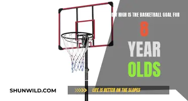 Basketball Goals for Young Players: How High is Too High?