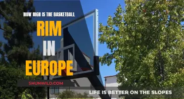 Basketball Rim Heights: European Standards and Rules