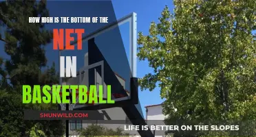 The Net's Bottom: How High Does It Go?