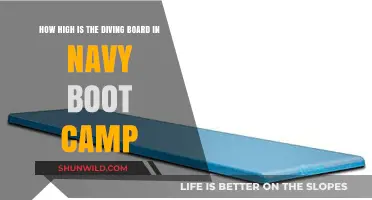 Navy Boot Camp Diving Board Height: How High Is It?