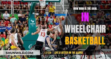 Goal Height in Wheelchair Basketball: How High is Too High?
