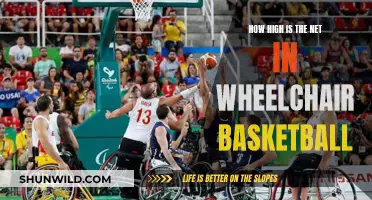 The Net Height Standard in Wheelchair Basketball