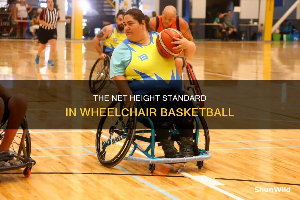 how high is the net in wheelchair basketball