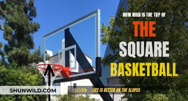 The Tallest Basketball Hoops: How High is Too High?