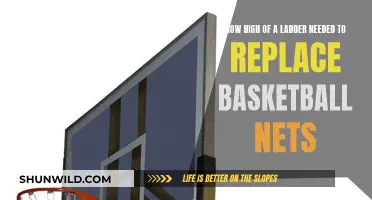 Ladder Length for Basketball Net Replacement: How High to Go?