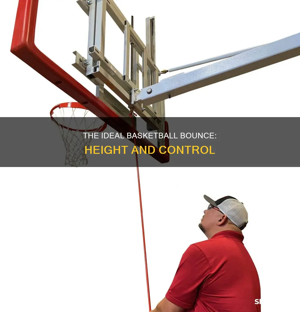how high should basketball nounce