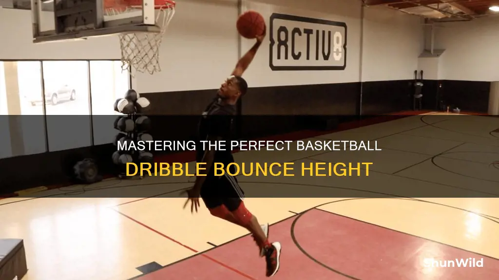 how high should the ball bounce when dribbling a basketball