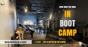 Boot Camp Intensity: How High is the High You'll Reach?