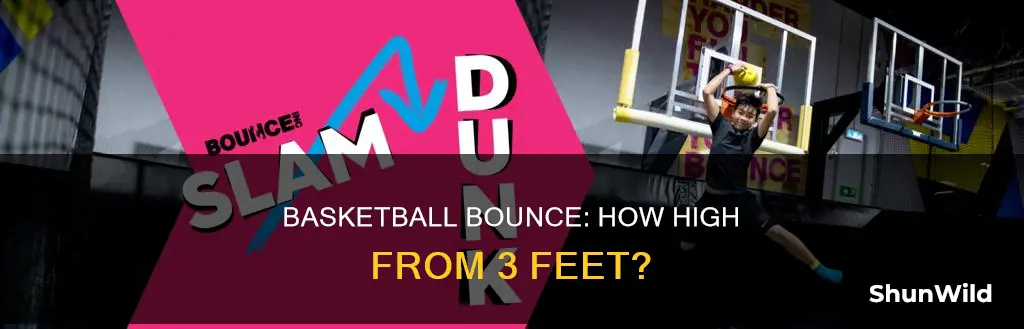 how high will a basketball bounce form 3feet