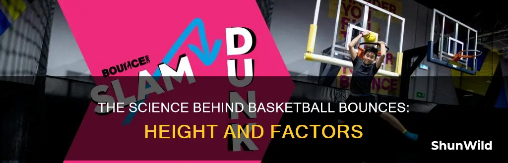 how high will a basketball bounce