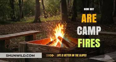 Campfire Heat Levels: Understanding the Intensity of Outdoor Flames