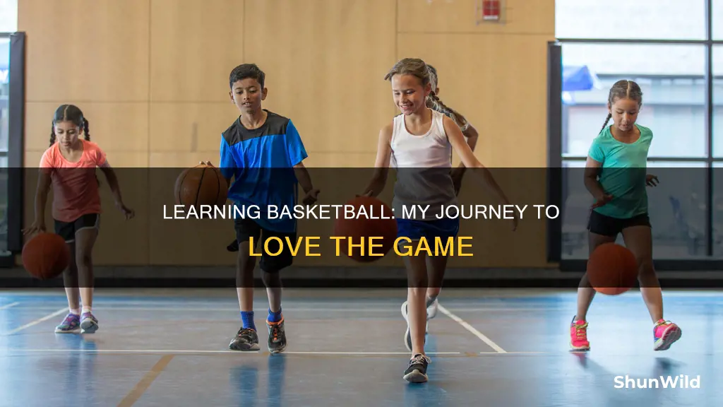 how i learned to plsy basketball and fell in love