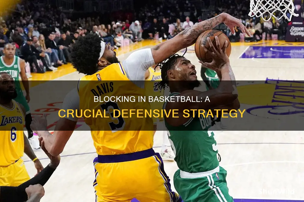 how important are blocks basketball