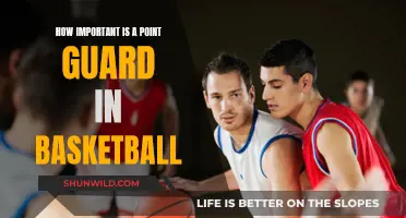 Point Guards: The Basketball Team's Heart and Soul