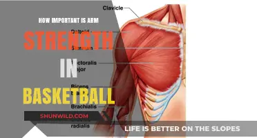 Arm Strength: A Key to Basketball Success?