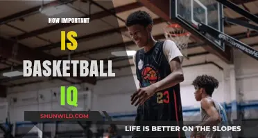 Basketball IQ: The Key to Success on the Court