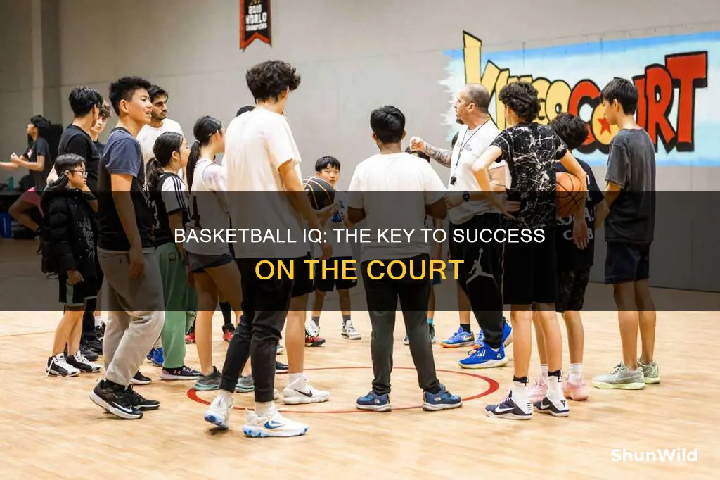 how important is basketball iq