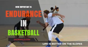 Endurance in Basketball: Performance and Winning Strategies