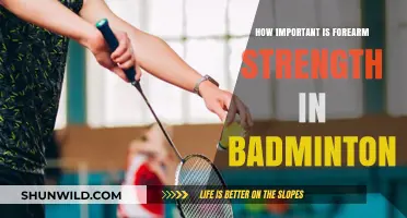 Forearm Strength: The Core of Badminton Power