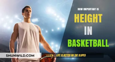 Height Advantage: Basketball's Unfair Advantage