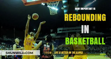 Rebounding: The Key to Basketball Success?
