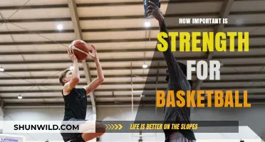 Strength Training: Basketball Performance Enhancer