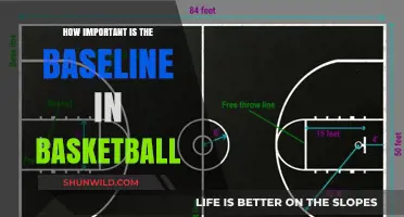 The Baseline: A Key to Basketball Strategy