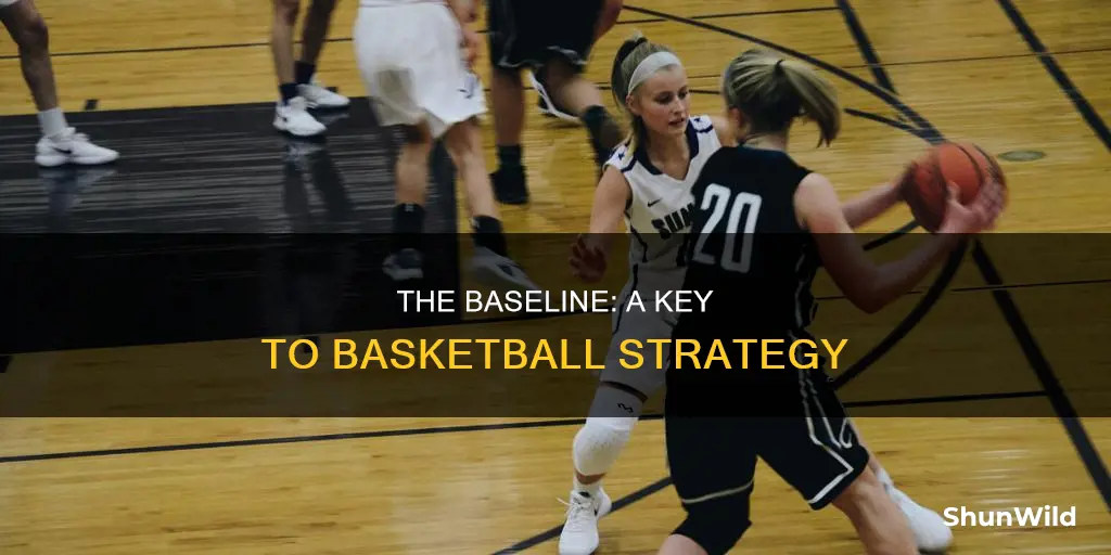 how important is the baseline in basketball