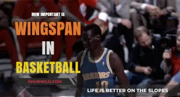 Wingspan's Impact on Basketball Performance