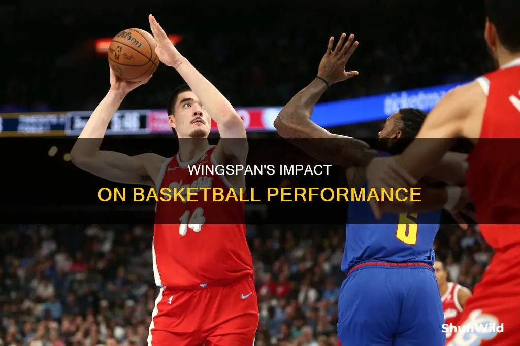 how important is wingspan in basketball
